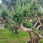 別荘 Milka Duće