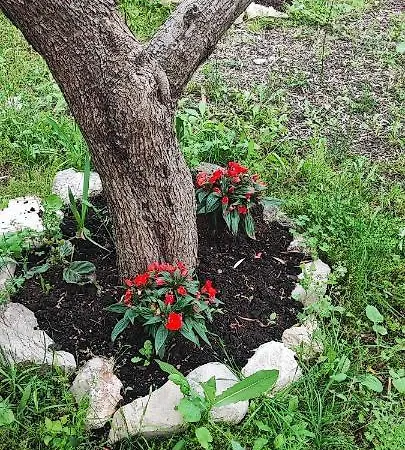 Apartman Milka Nyaraló *